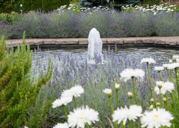 Construisez votre propre fontaine pour apporter une ambiance rafraîchissante à votre espace extérieur