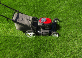 Pratiques écologiques pour un jardin verdoyant : Valorisez votre gazon coupé de manière responsable