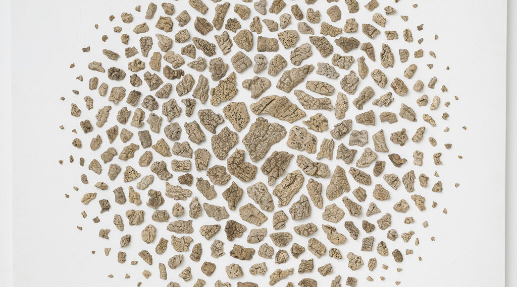 Sinda Belhassen : « Tisser la Terre » – Une Exploration de la Flore Tunisienne à Travers le Tissage