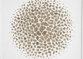 Sinda Belhassen : « Tisser la Terre » – Une Exploration de la Flore Tunisienne à Travers le Tissage