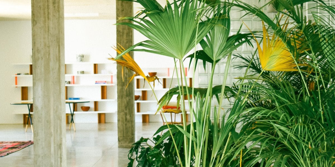 BARDO Collections : Première édition « Jardin Précieux » Espace Design – Galerie Selma FERIANI