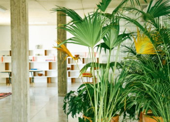 BARDO Collections : Première édition « Jardin Précieux »  Espace Design – Galerie Selma FERIANI