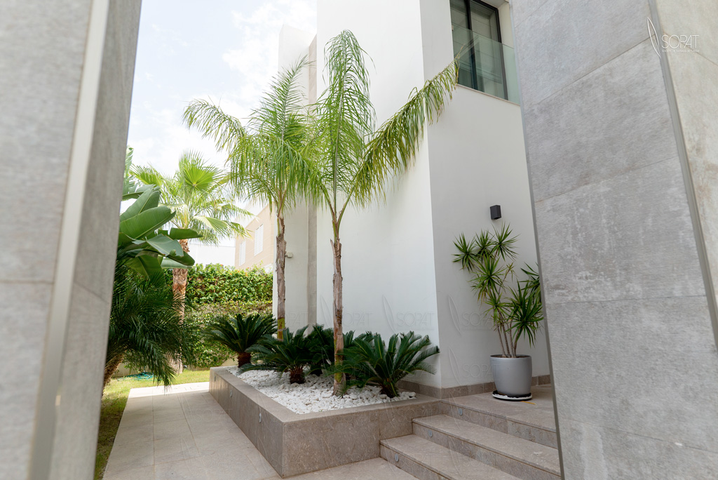 Ahmed Ben Saad Designer Global et Visionnaire à la Tête de Spaceart Plus